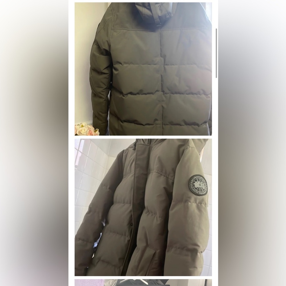 Canada goose in good condition - Picture 7 of 13